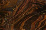Polished Tiger Iron Stromatolite Slab - Billion Years #317240-1